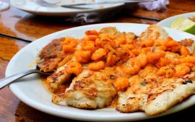 Filé de peixe ao vinho